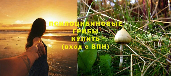 mdpv Дмитров